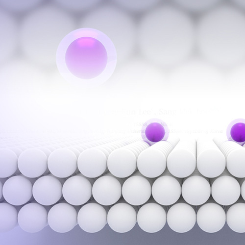 珠海建筑紅模板客戶使用案例